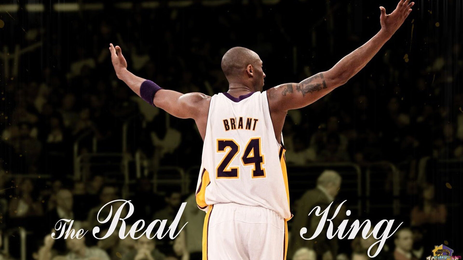 塔图姆赛后评分拉满，猛龙淘汰赛过关吉林队